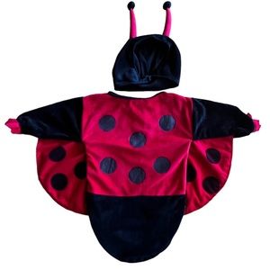 Halloween infant 0–3 Mos. costume lady bug. Worn once great condition